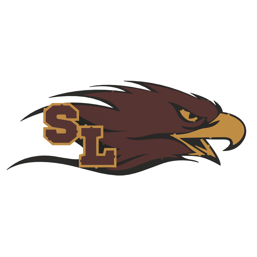 Silver Lake Eagle Metal Wall Art - Large